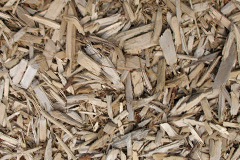 biomass boilers Bale
